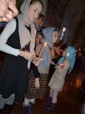 DSC 0712